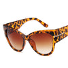 Fashion Cat Eye Women Sunglasses, Gradient Points Sun Glasses